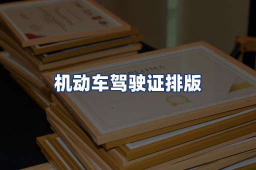 机动车驾驶证排版